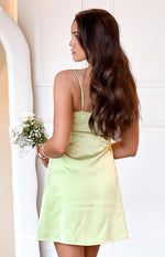 Chantell Sage Mini Dress Image