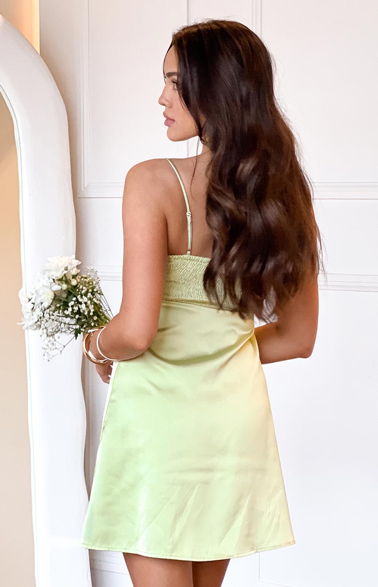 Chantell Sage Mini Dress Image