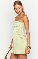 Chantell Sage Mini Dress Image