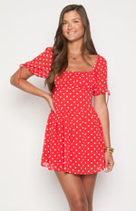 Danyal Red Polka Dot Mini Dress Image