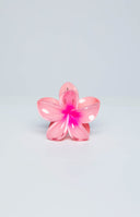 Frangipani Pink Flower Clip