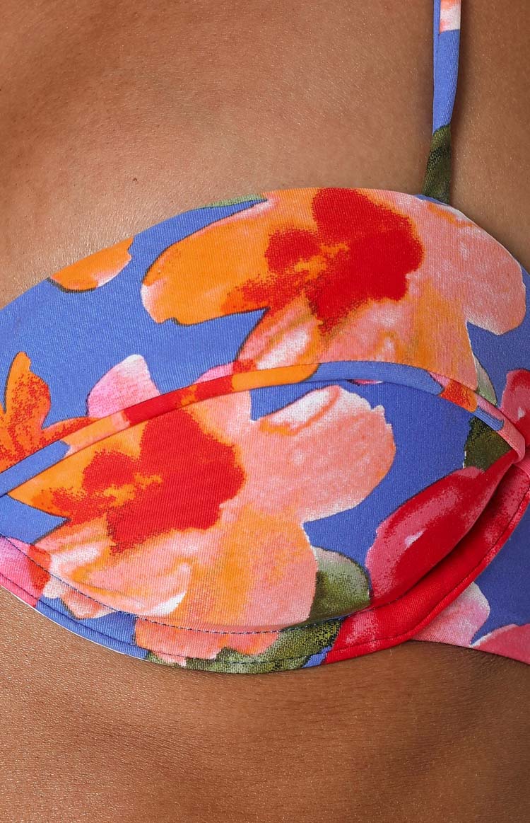 9.0 Swim Jamilla Blue Floral Bikini Top Image