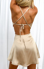 Fireworks Mini Dress Champagne Image
