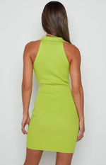 Hazel Collared Mini Dress Green Image