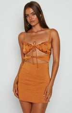 Hyacinth Tie Mini Dress Orange Image