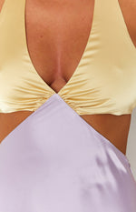 Orchid Lilac Midi Dress Image
