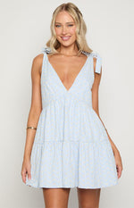 Angel Girl Blue Gingham Floral Mini Dress Image