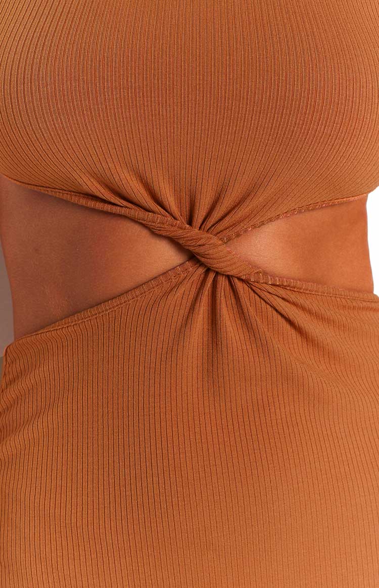 Aniko Rust Cut Out Mini Dress Image