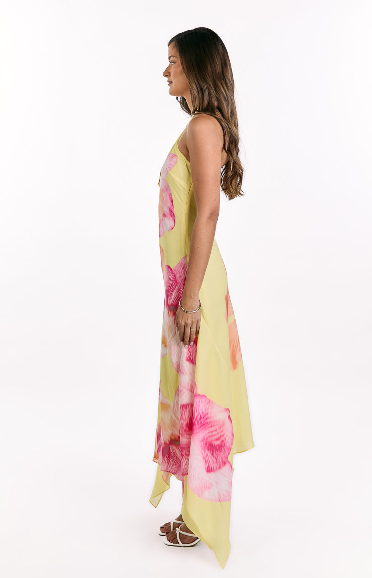 Elowen Yellow Hibiscus Floral Halter Maxi Dress Image