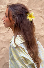 Side view of a bright yellow frangipani flower clip with five petals and a lighter yellow center