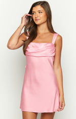 Lamira Pink Mini Dress Image