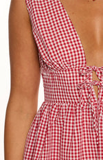 Saffron Red Gingham Tie Mini Dress Image