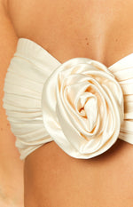 Kaylea Champagne Crop Top Image