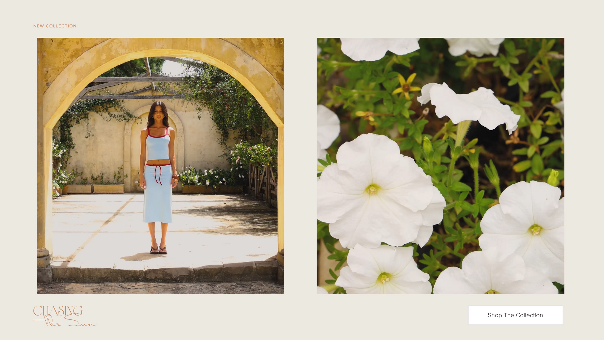 Homepage Video Banner