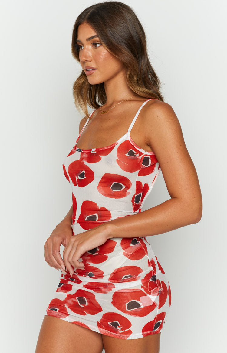 OMIGHTY Painted Flowers Mesh Dress Image