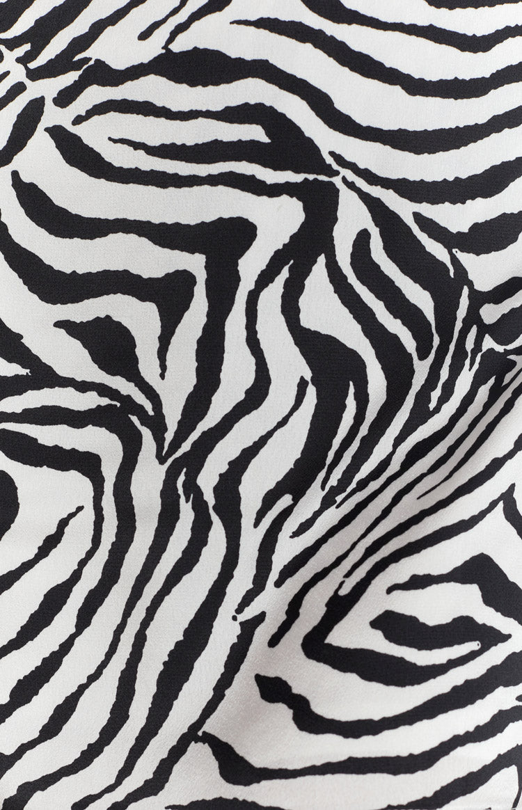 Sylvester Mini Dress Zebra Image